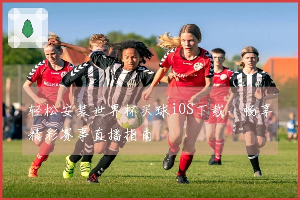 轻松安装世界杯买球iOS下载，畅享精彩赛事直播指南