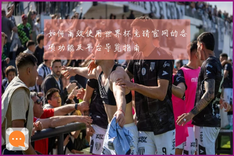 如何高效使用世界杯竞猜官网的各项功能及平台导览指南