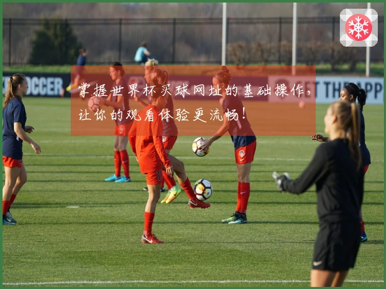 掌握世界杯买球网址的基础操作，让你的观看体验更流畅！