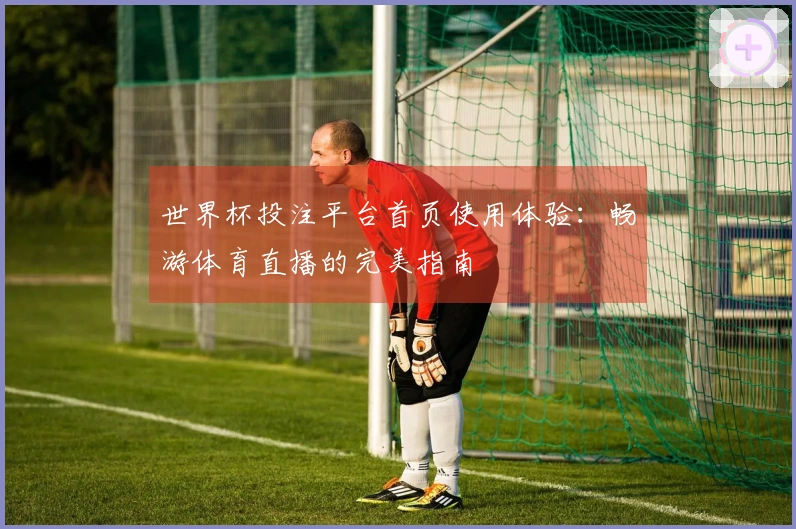 世界杯投注平台首页使用体验：畅游体育直播的完美指南