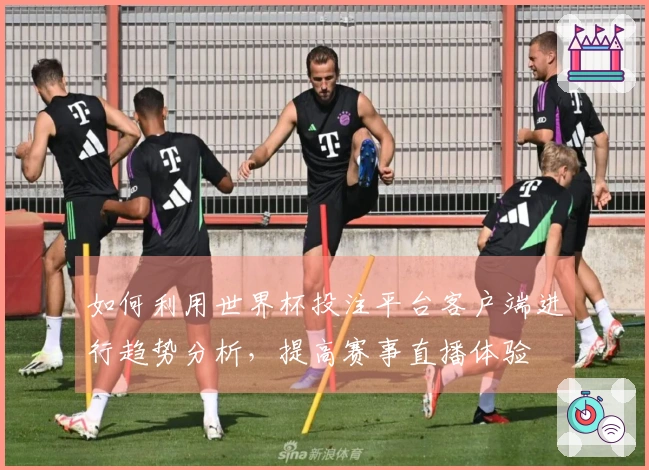 如何利用世界杯投注平台客户端进行趋势分析,提高赛事直播体验