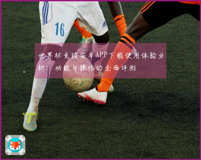 世界杯竞猜安卓APP下载使用体验分析：功能与操作的全面评测