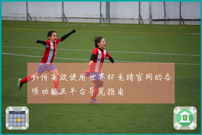 如何高效使用世界杯竞猜官网的各项功能及平台导览指南