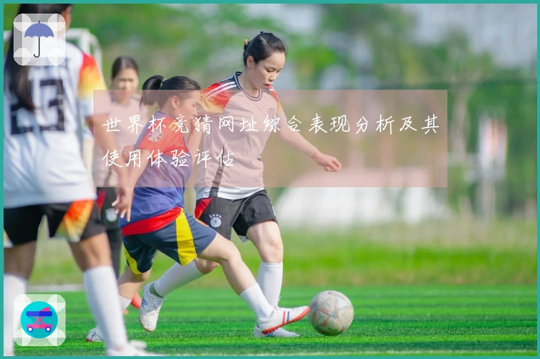 世界杯竞猜网址综合表现分析及其使用体验评估