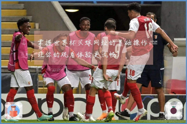 掌握世界杯买球网址的基础操作，让你的观看体验更流畅！